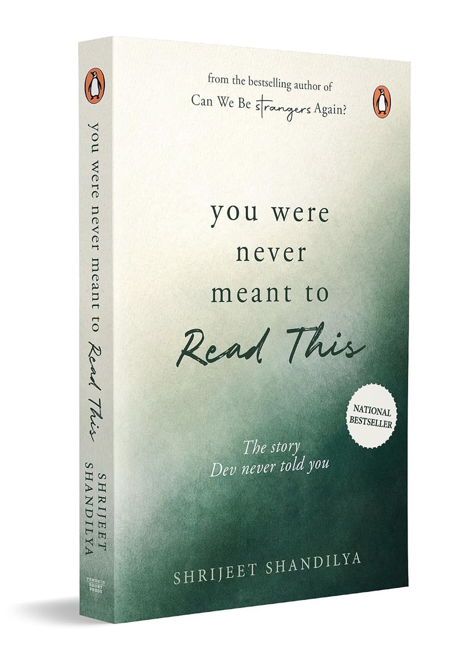  You Were Never Meant To Read This: Return to the World of Can We Be Strangers Again
